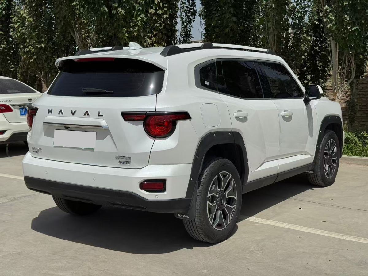 Haval X Dog 2 New Energy 2023 car image #10
