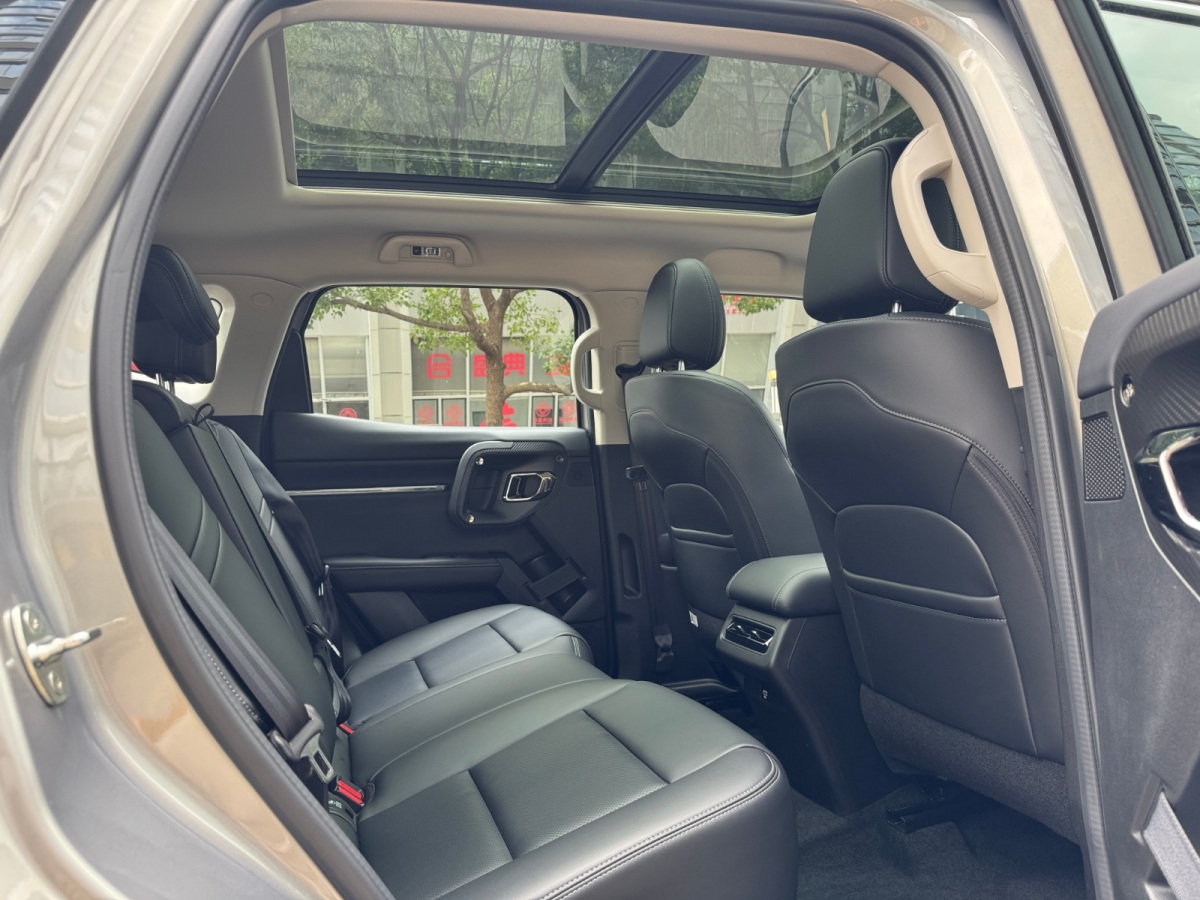 Haval X Dog 2 New Energy 2024 car image #10