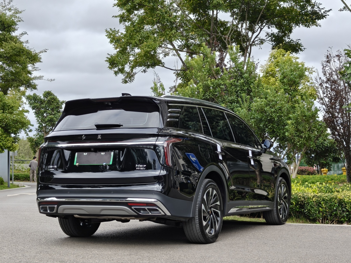 HongQi HS7 PHEV 2024 car image #10