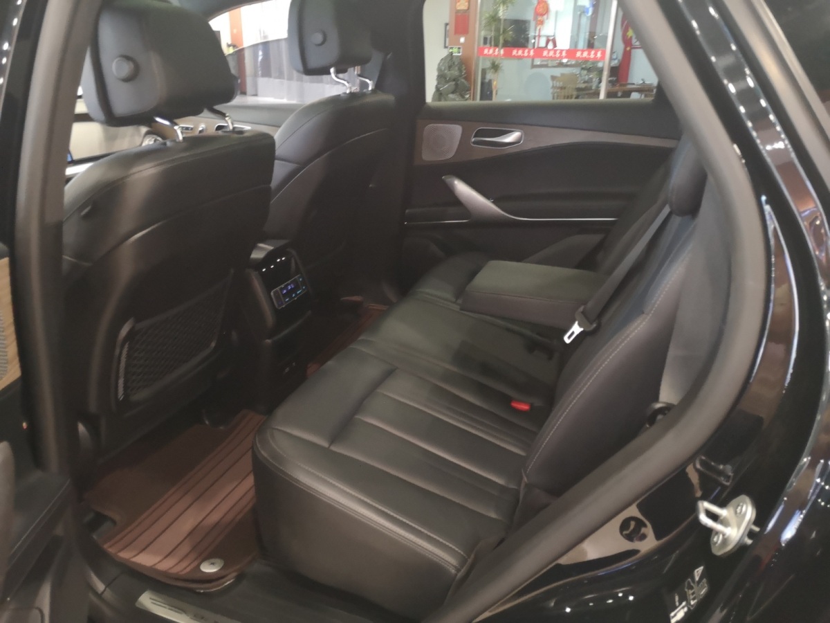 Denza N8L 2021 car image #10