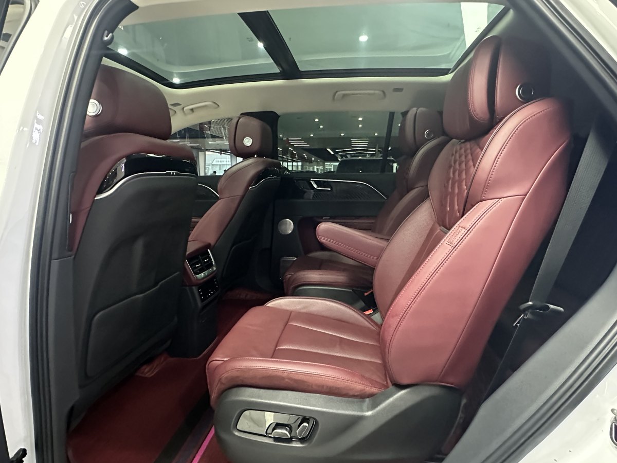 HongQi E-HS9 2021 #10 HongQi E-HS9 2021 car image #10