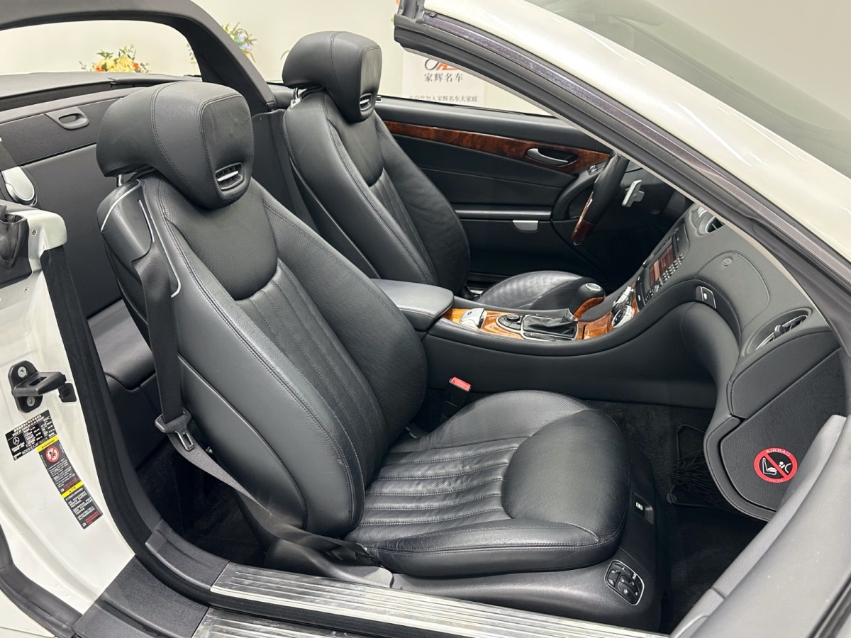 Mercedes-Benz SL Class 2010 imagem de carro #10