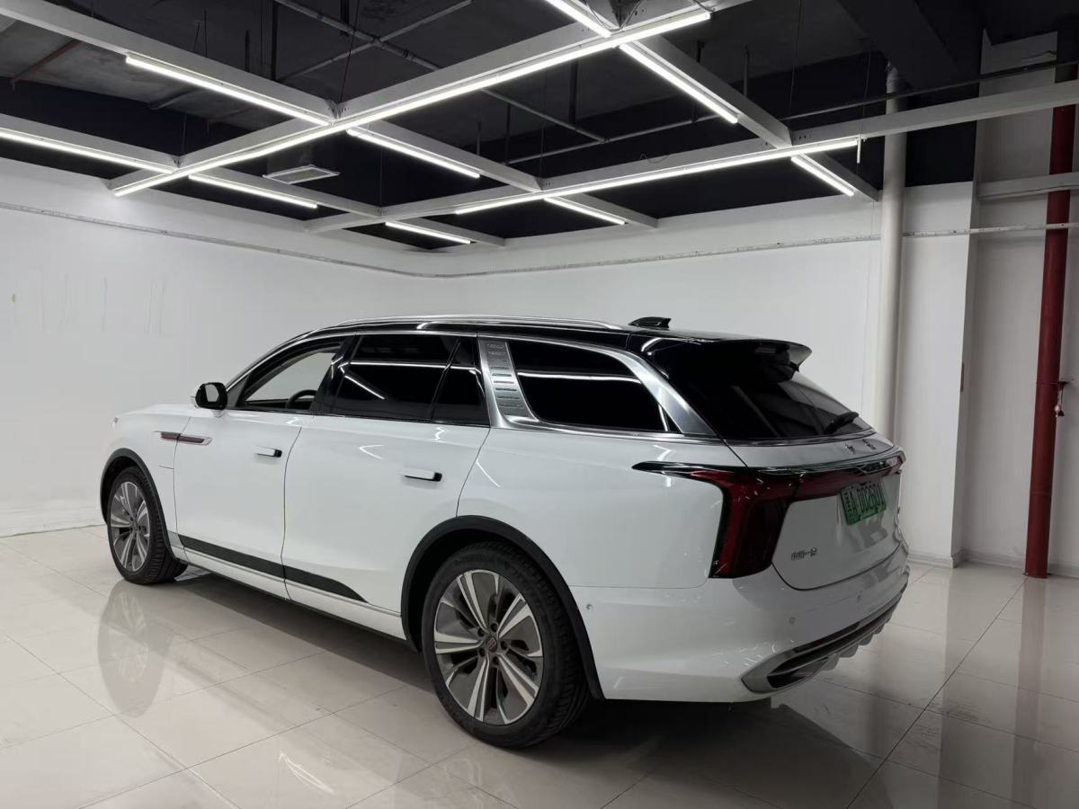 HongQi E-HS9 2022 #10 HongQi E-HS9 2022 car image #10