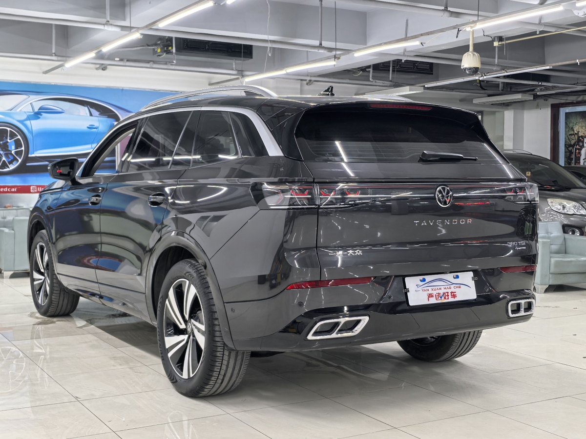 Volkswagen Tavendor 2023 car image #10