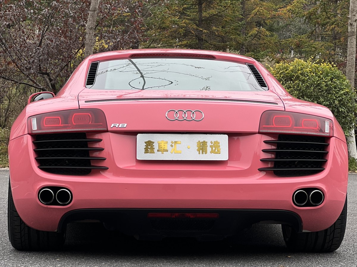 Audi R8 2010 #10 Audi R8 2010 car image #10