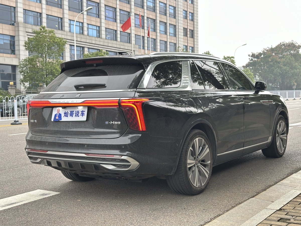 HongQi E-HS9 2022 #10 HongQi E-HS9 2022 car image #10