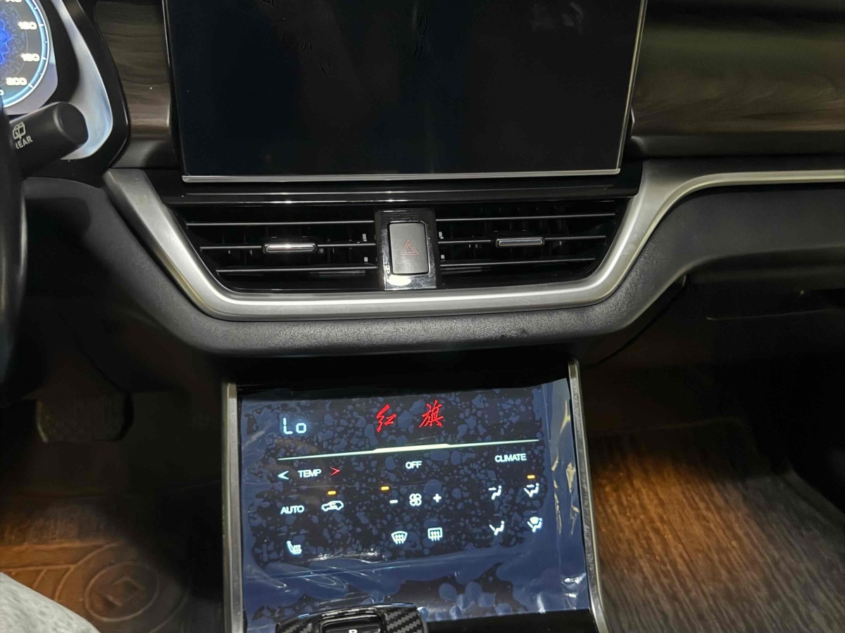 HongQi E-HS3 2020 #10 HongQi E-HS3 2020 immagine di auto #10