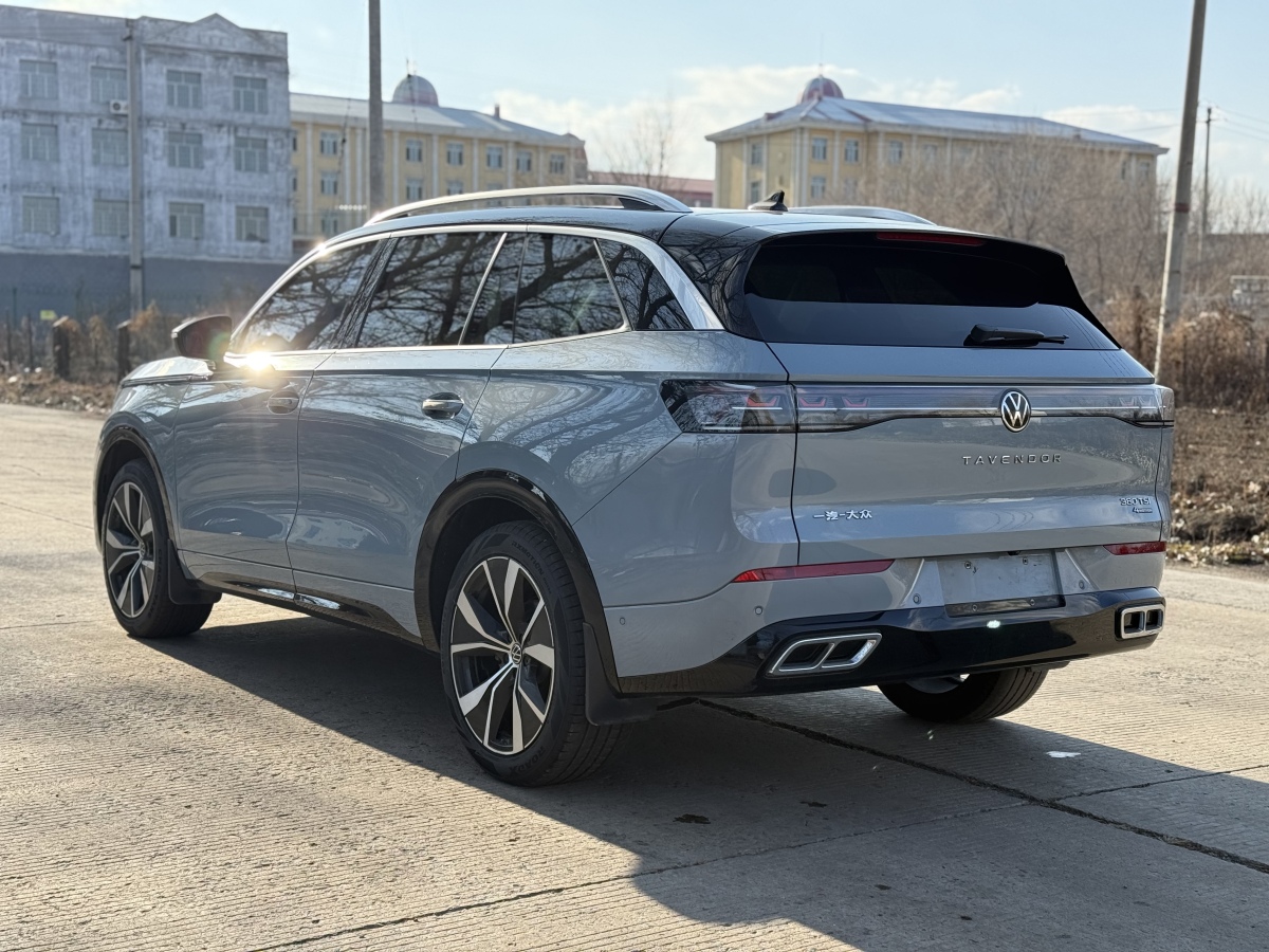 Volkswagen Tavendor 2023 car image #10