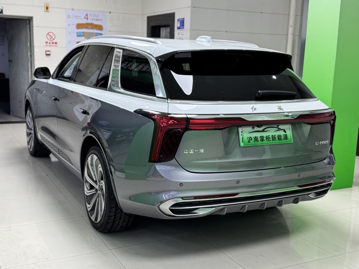 HongQi E-HS9 2021 immagine di auto #10