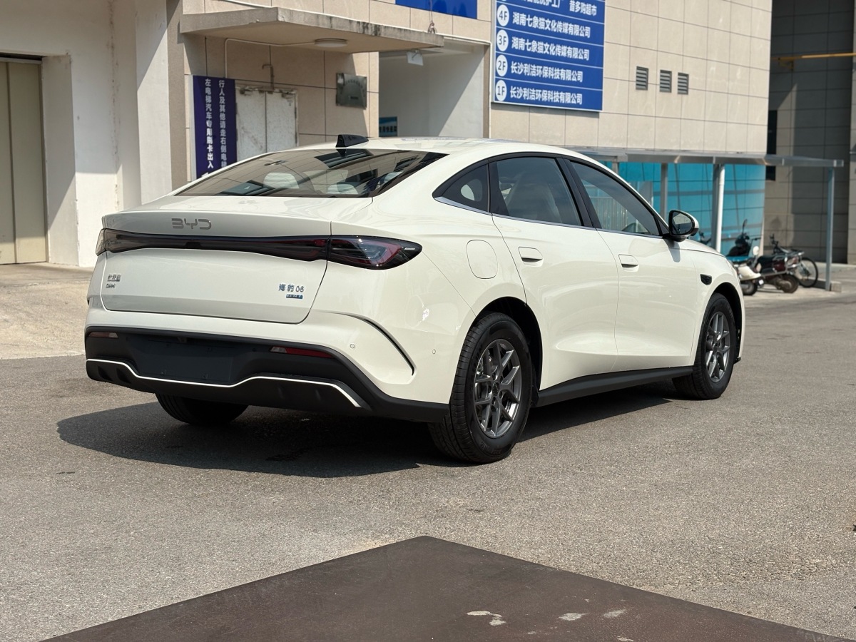 BYD Seal 06 DM-i 2025 immagine di auto #10