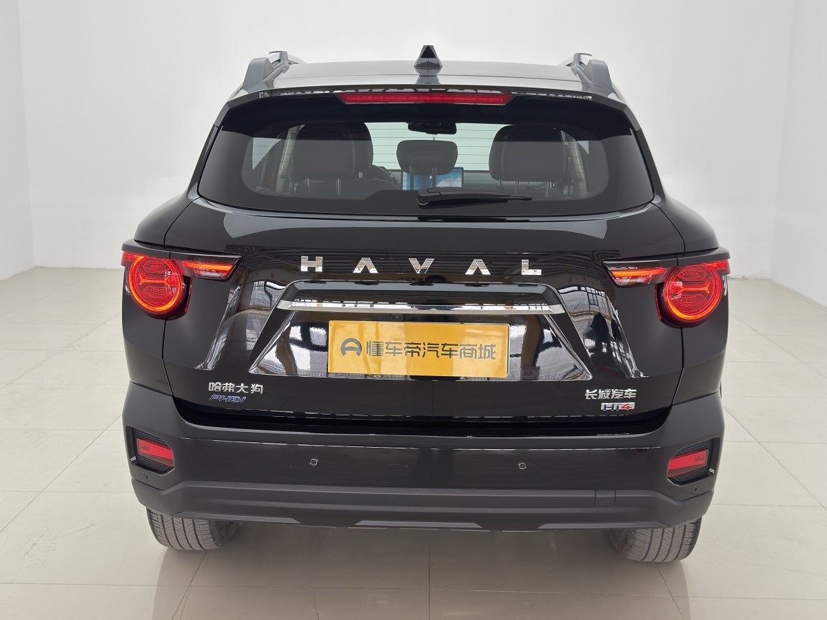 Haval Dargo 2 2024 car image #10