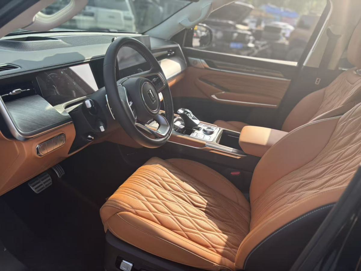 Tank 500 New Energy 2024 car image #10