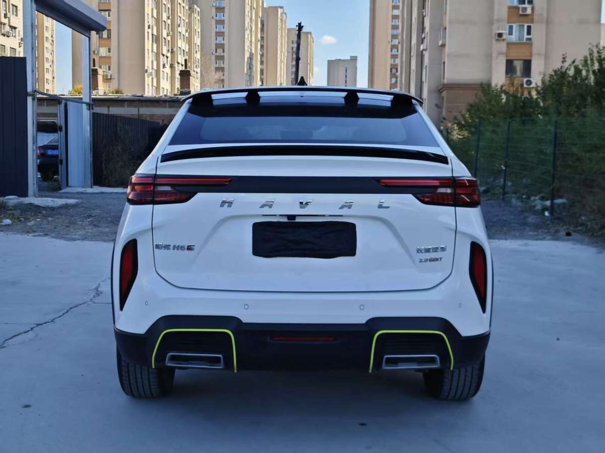Haval H6S 2022 car image #10