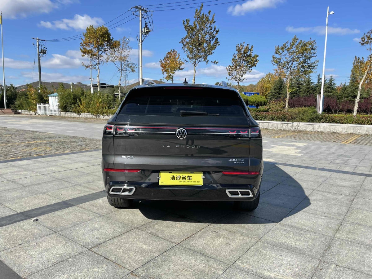 Volkswagen Tavendor 2023 car image #10