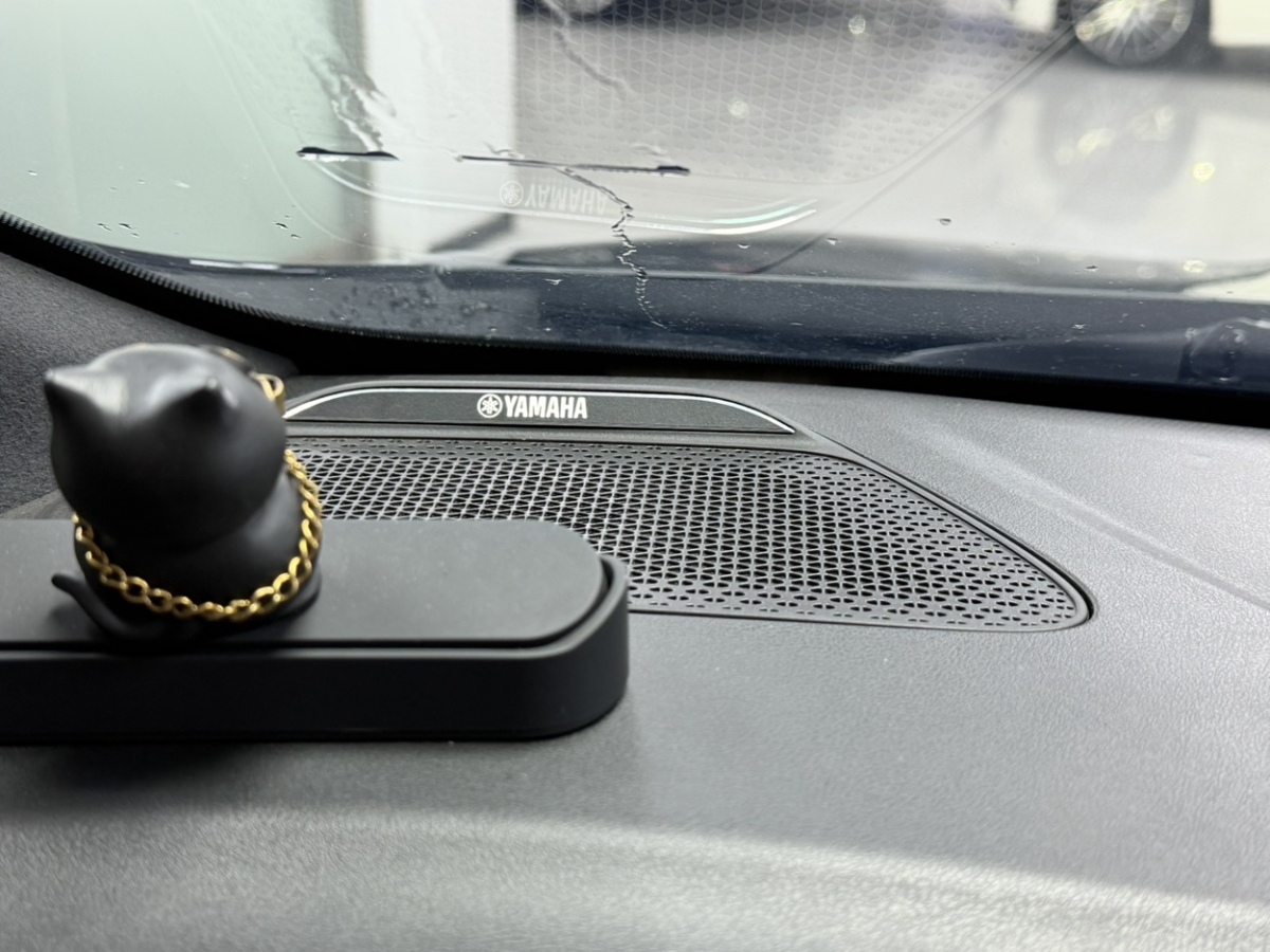 GAC Trumpchi E9 2024 car image #10