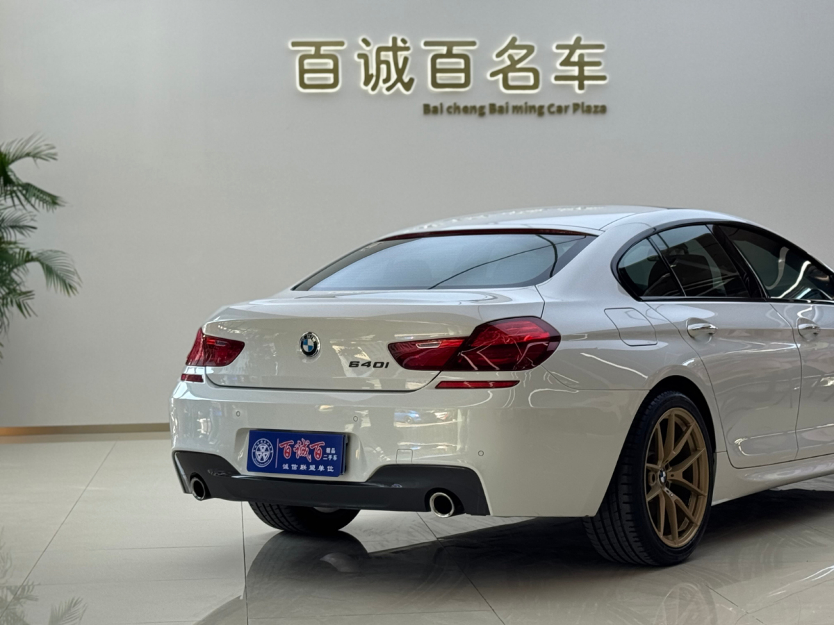 BMW 6 Series 2016 car image #10