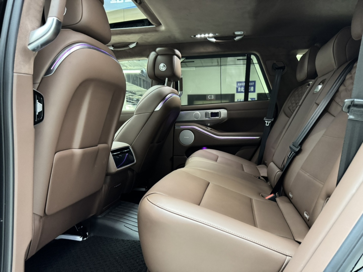 Tank 700 New Energy 2024 immagine di auto #10