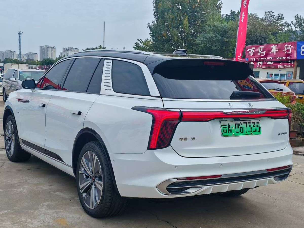 HongQi E-HS9 2024 immagine di auto #10