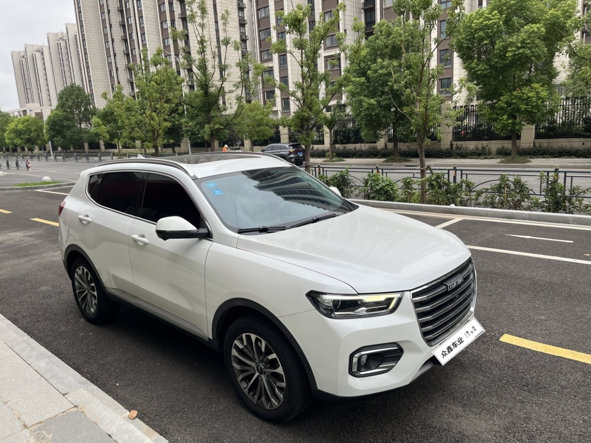 Haval H6 2019 immagine di auto #10