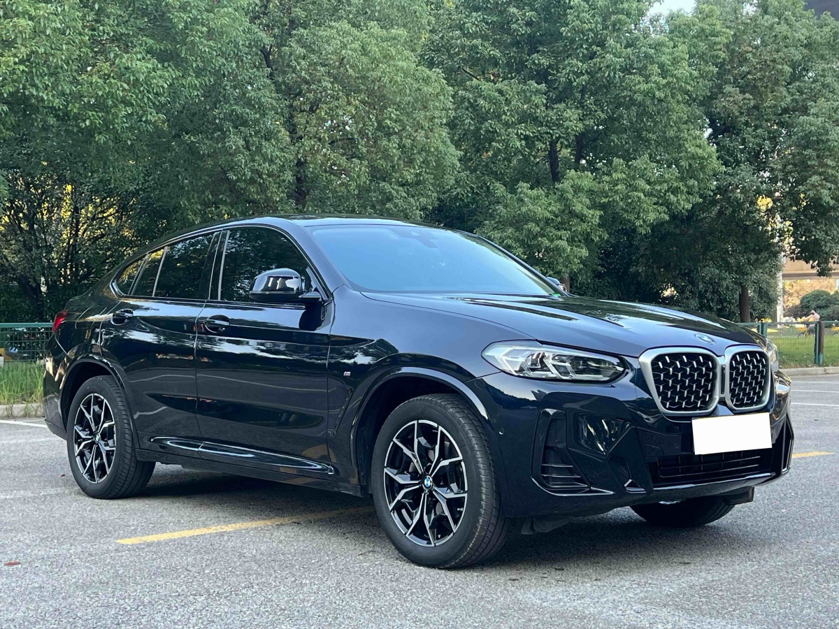 BMW X4 2024 #10 BMW X4 2024 imagem de carro #10