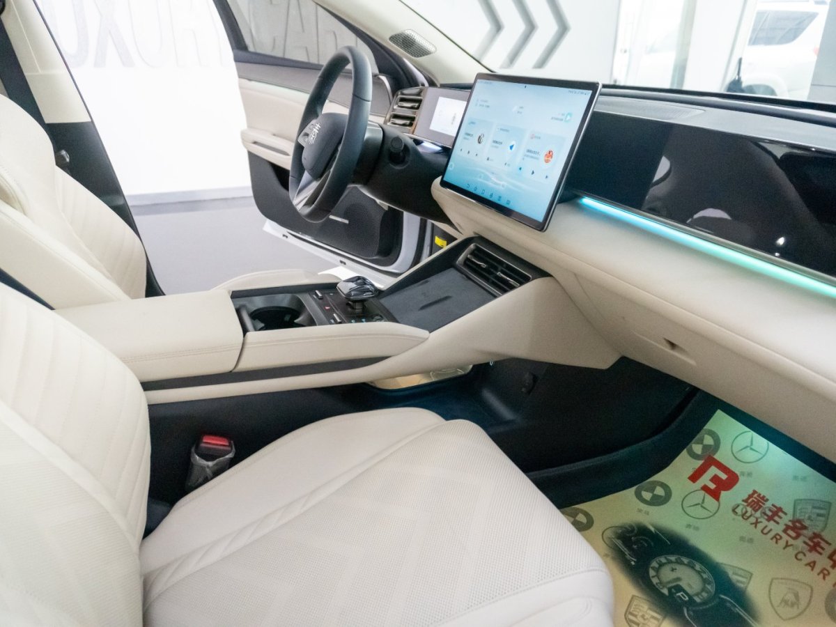 BYD M9 2024 car image #10