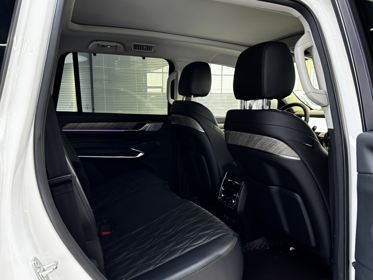 Tank 500 2023 car image #10