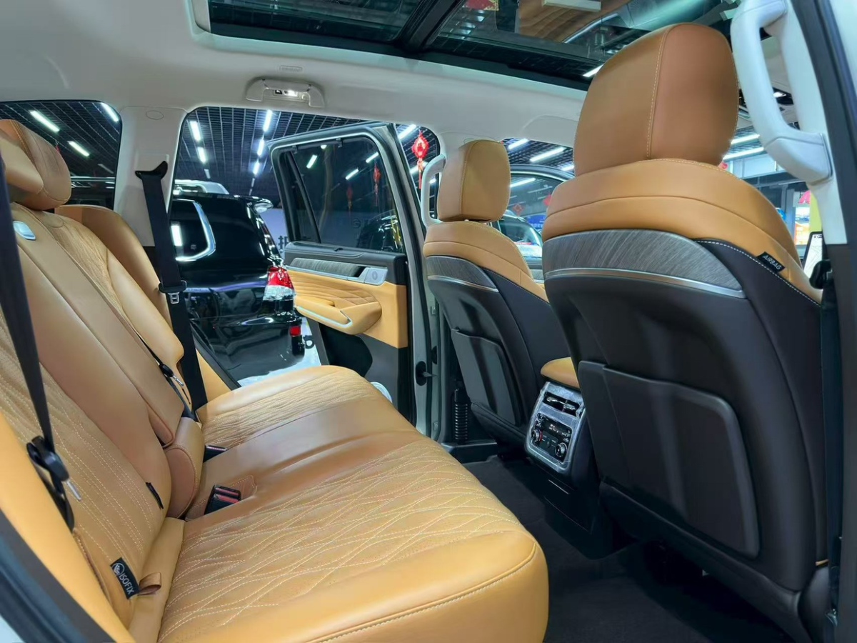 Tank 500 New Energy 2024 car image #10