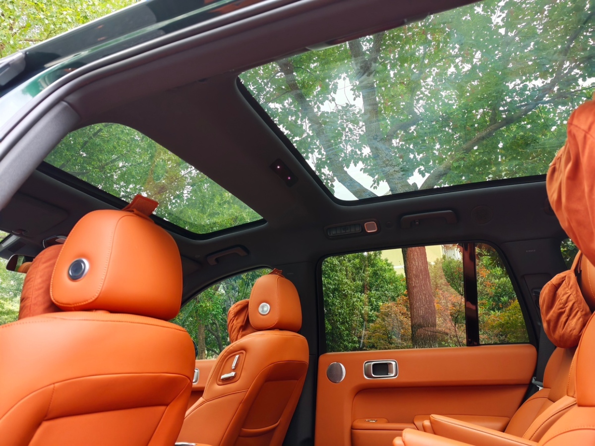 Li L8 2022 изображение автомобиля #10