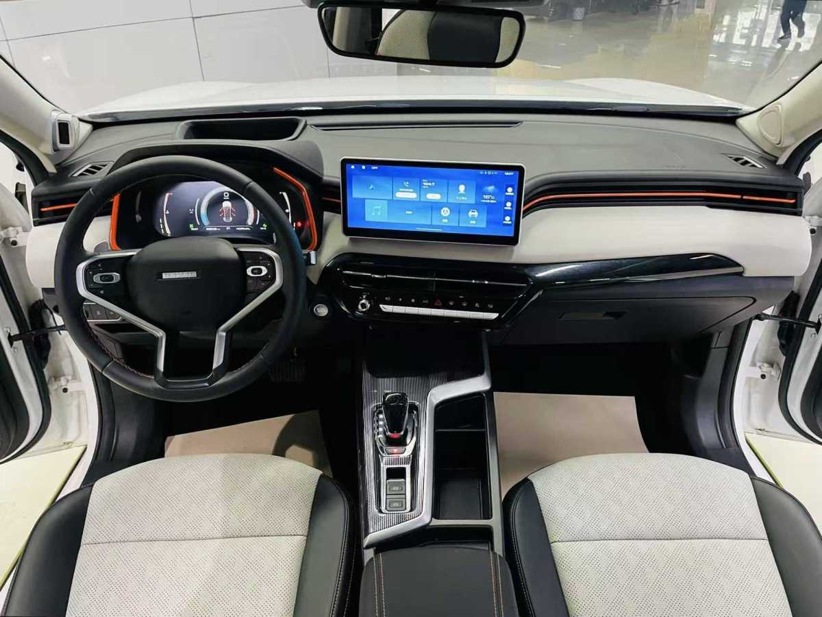 Haval Rabbit 2021 imagen de coche #10