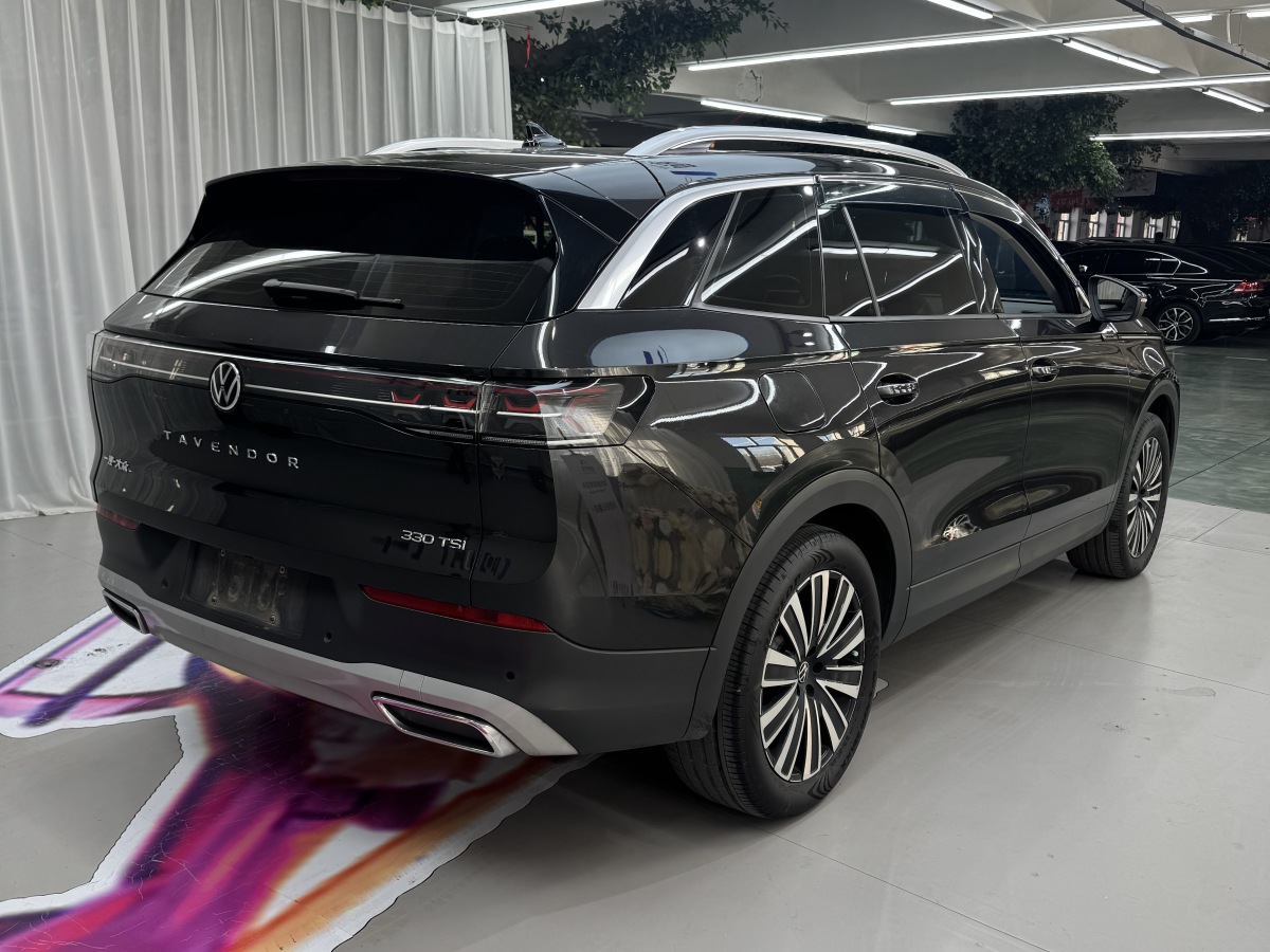 Volkswagen Tavendor 2023 car image #10