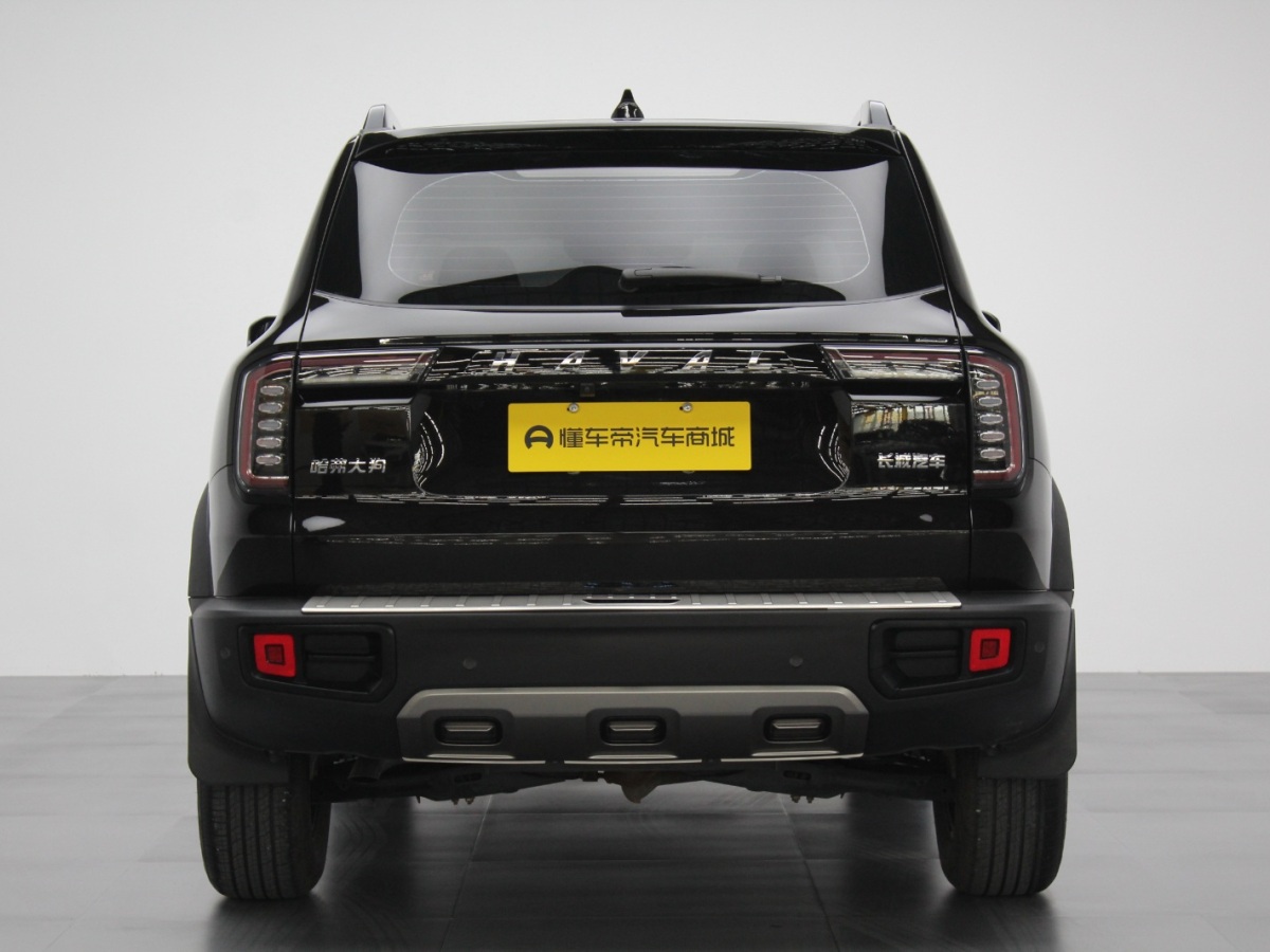 Haval X Dog / Dargo 2021 car image #10