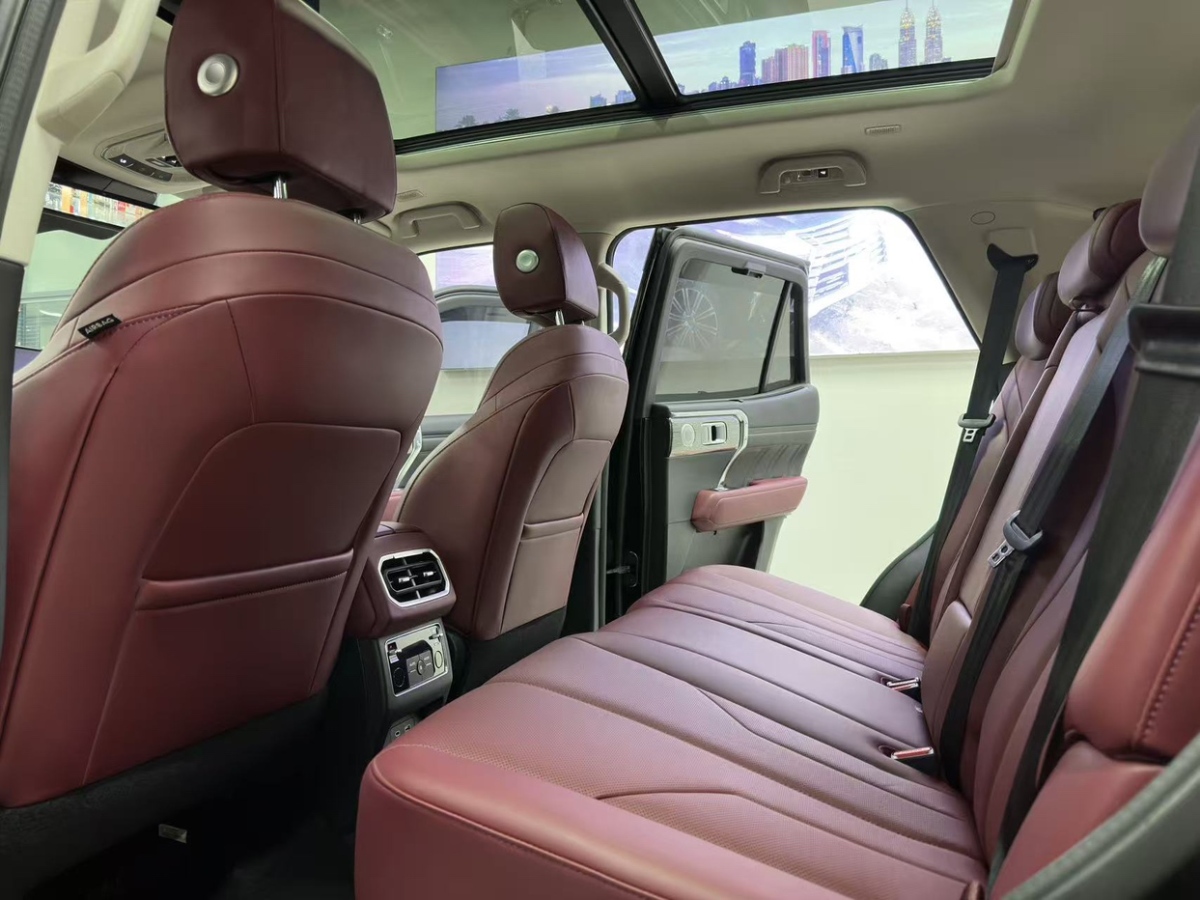 Tank 400 New Energy 2024 #10 Tank 400 New Energy 2024 immagine di auto #10