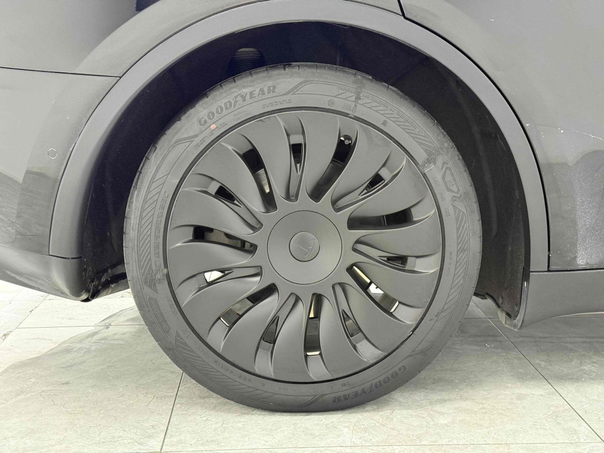 Tesla Model Y 2023 car image #10