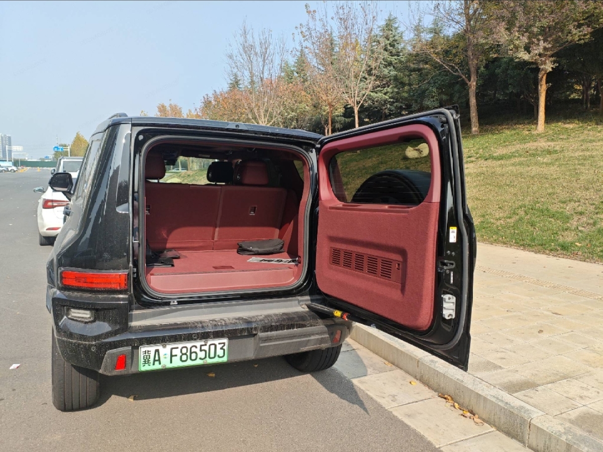 Tank 700 New Energy 2025 #10 Tank 700 New Energy 2025 immagine di auto #10