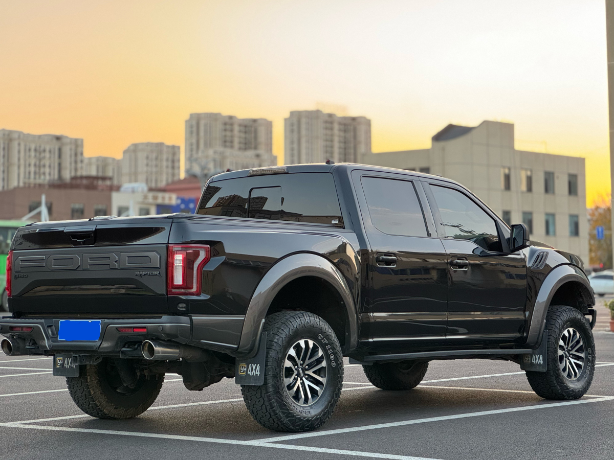 Ford F-150 Raptor 2019 #10 Ford F-150 Raptor 2019 car image #10