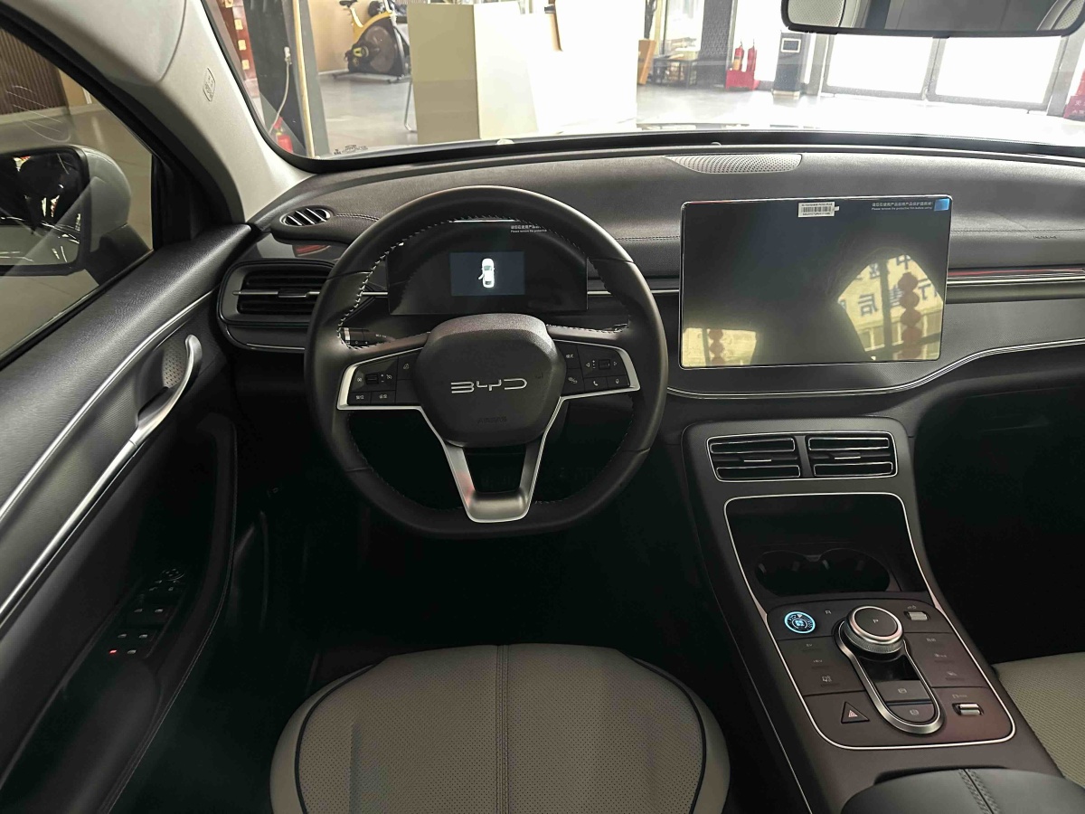 BYD Destroyer 05 2024 immagine di auto #10
