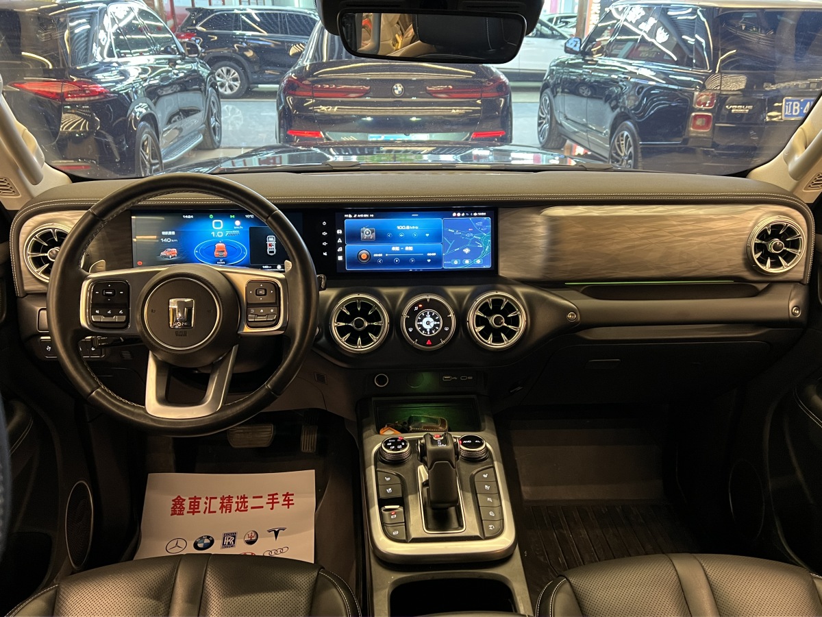 Tank 300 2022 car image #10