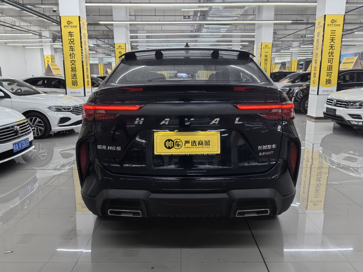 Haval H6S 2022 car image #10