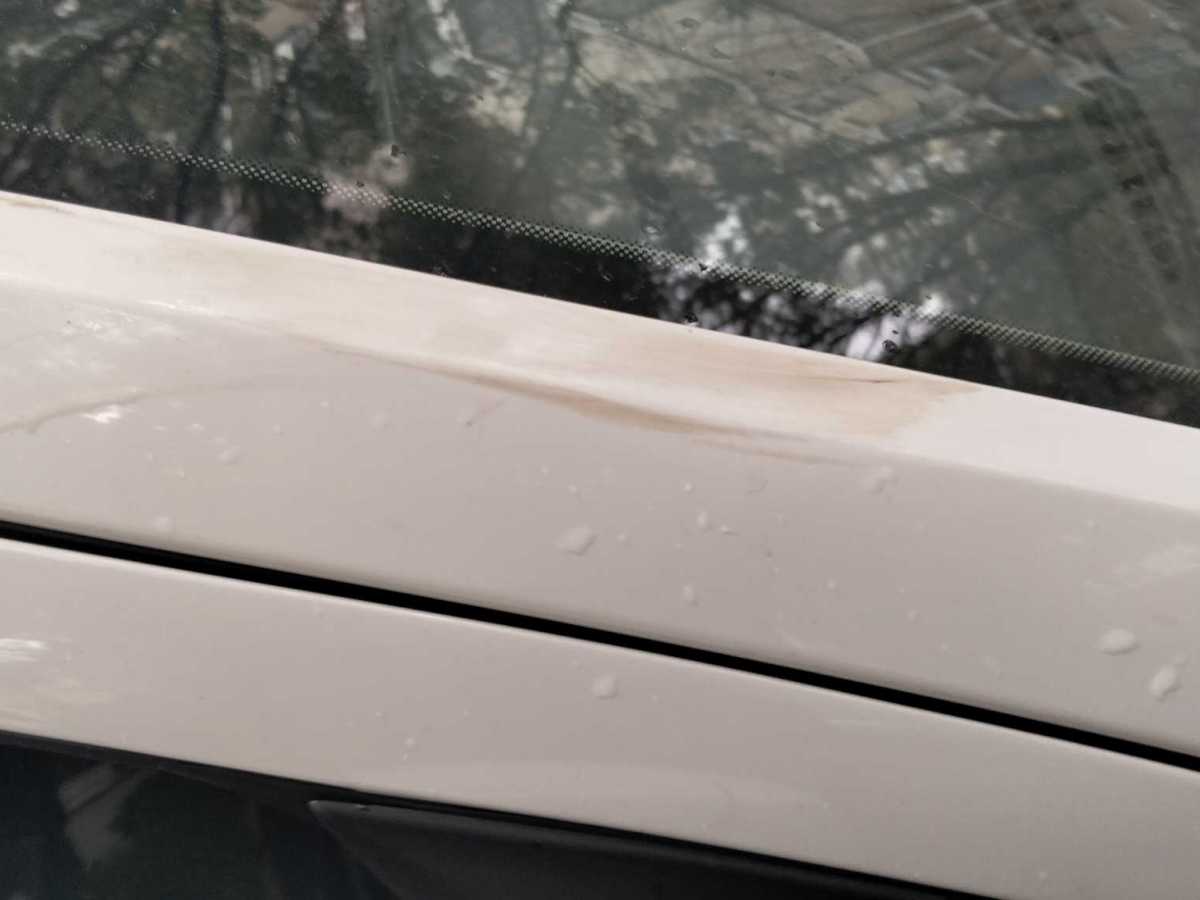 Volkswagen Gran Lavida 2014 car image #10