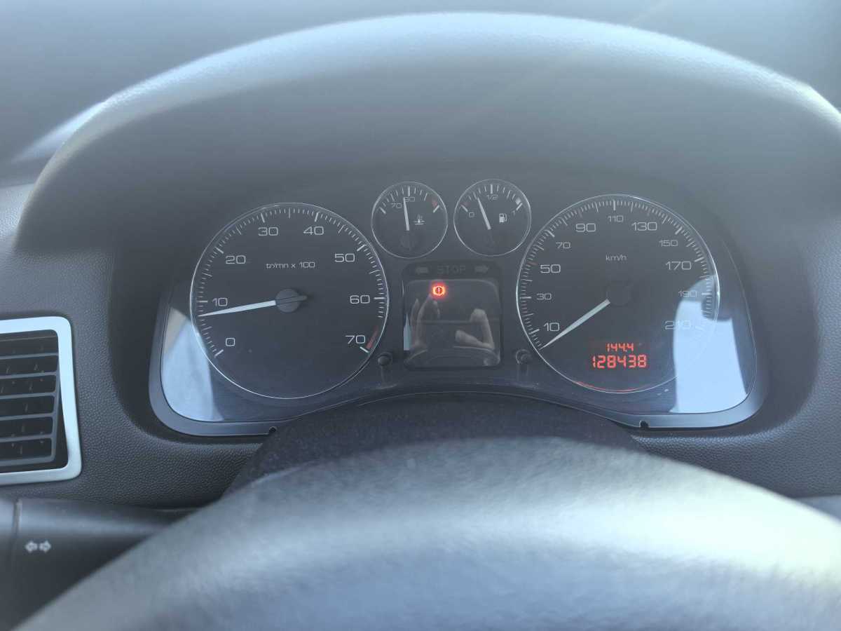 标致 标致307 2007 汽车图片 #10