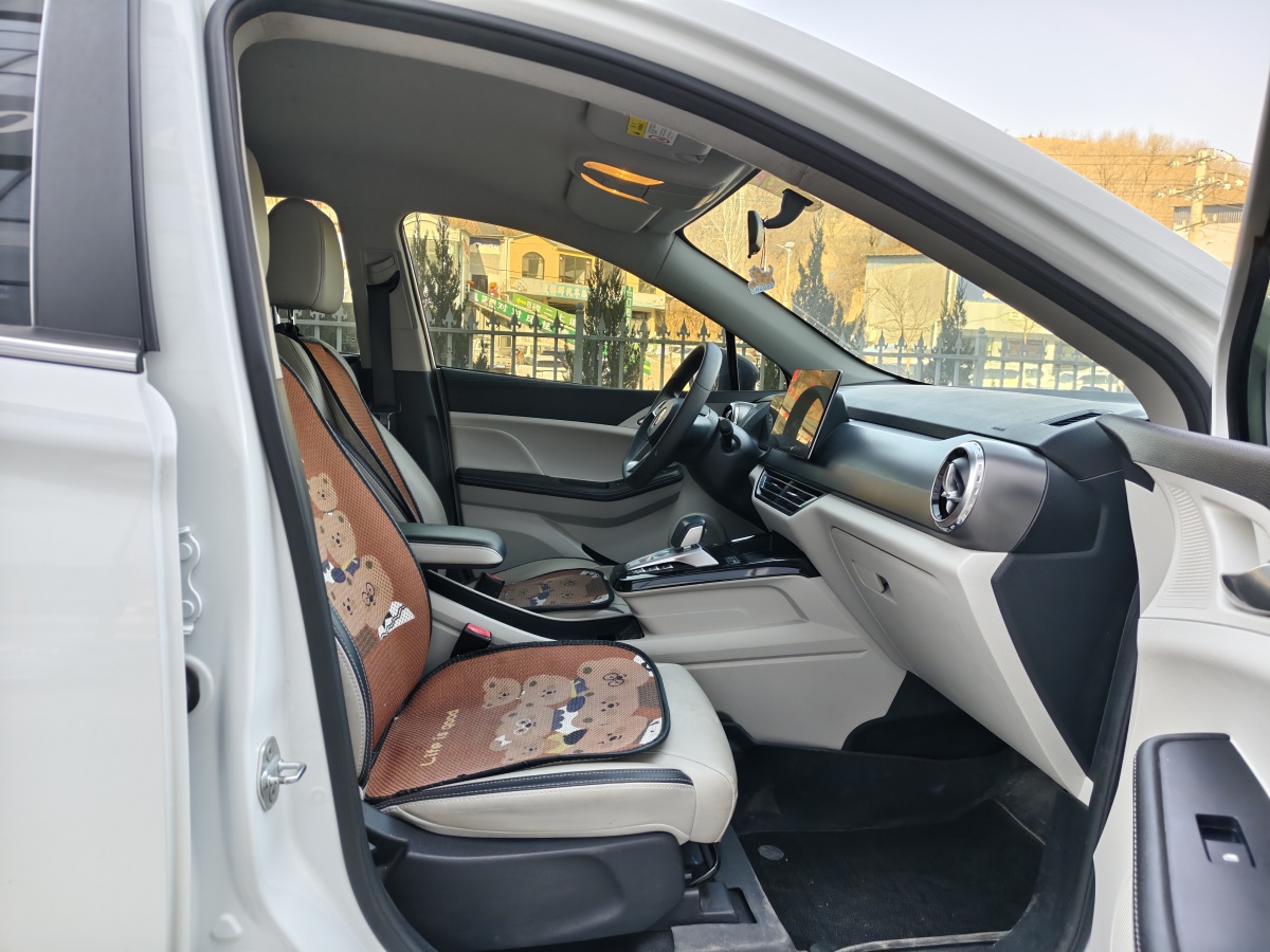 BYD Yuan Pro 2022 immagine di auto #10