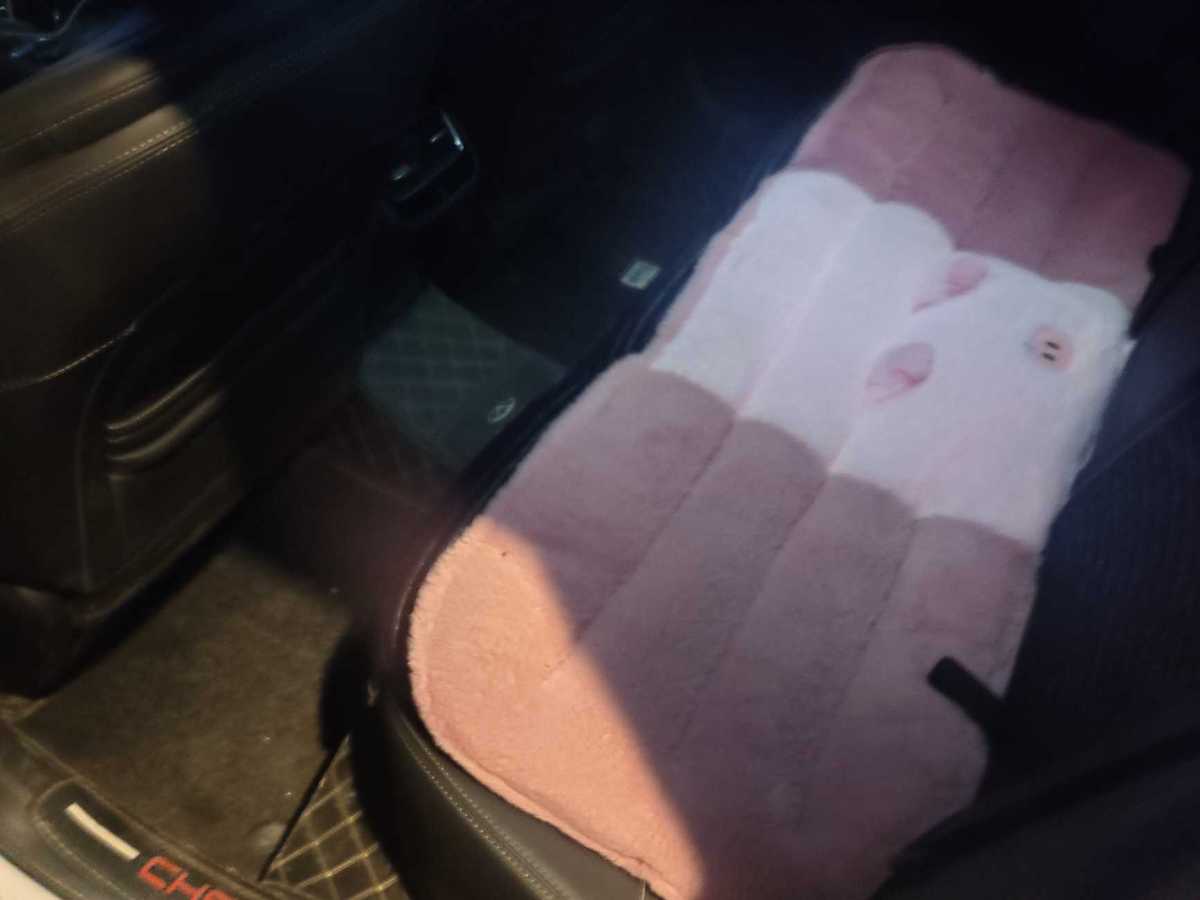 Chery Arrizo 5 GT 2023 car image #10