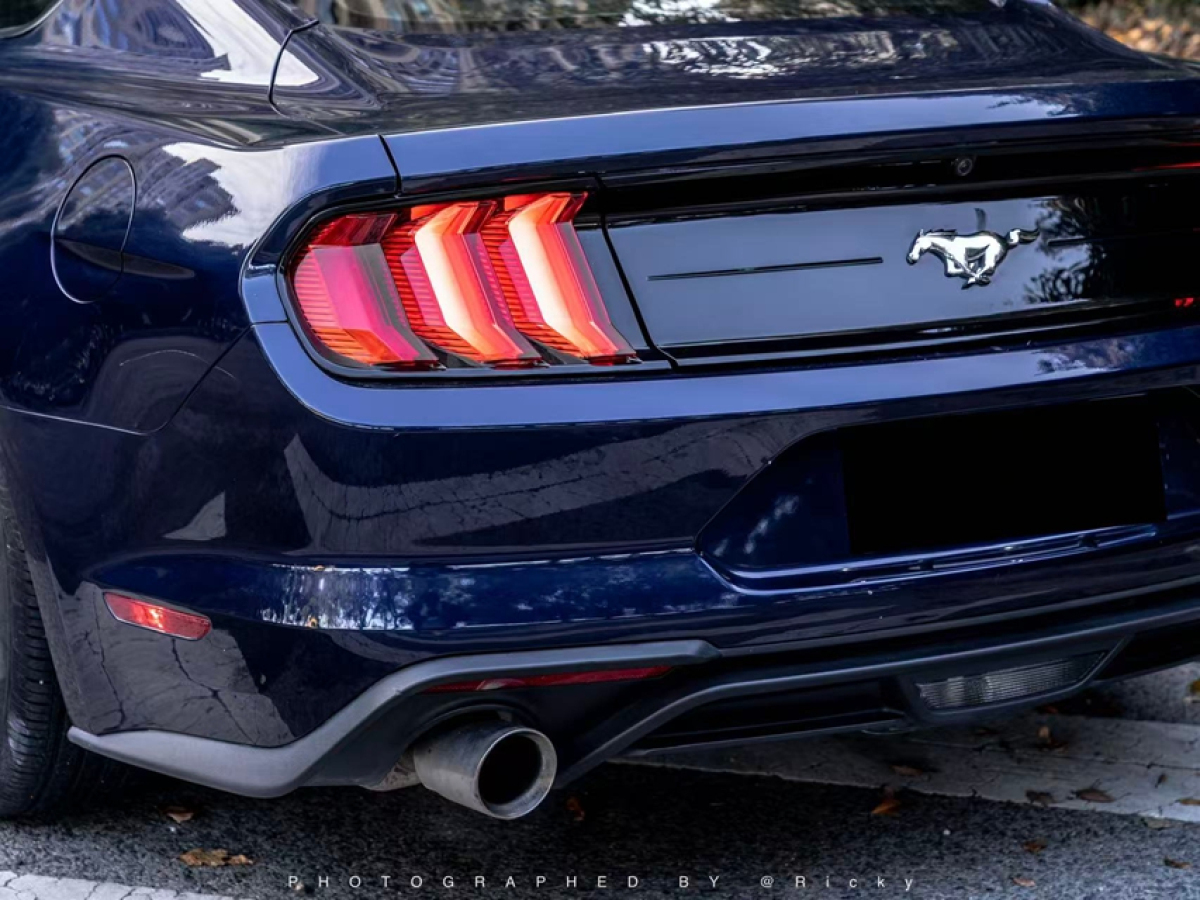 Ford 2019 #10 Ford 2019 car image #10