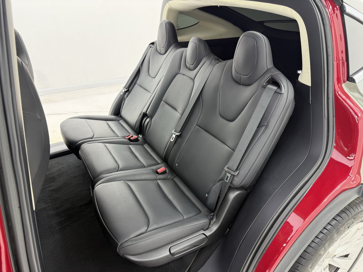 特斯拉 Model X 2019 汽车图片 #10