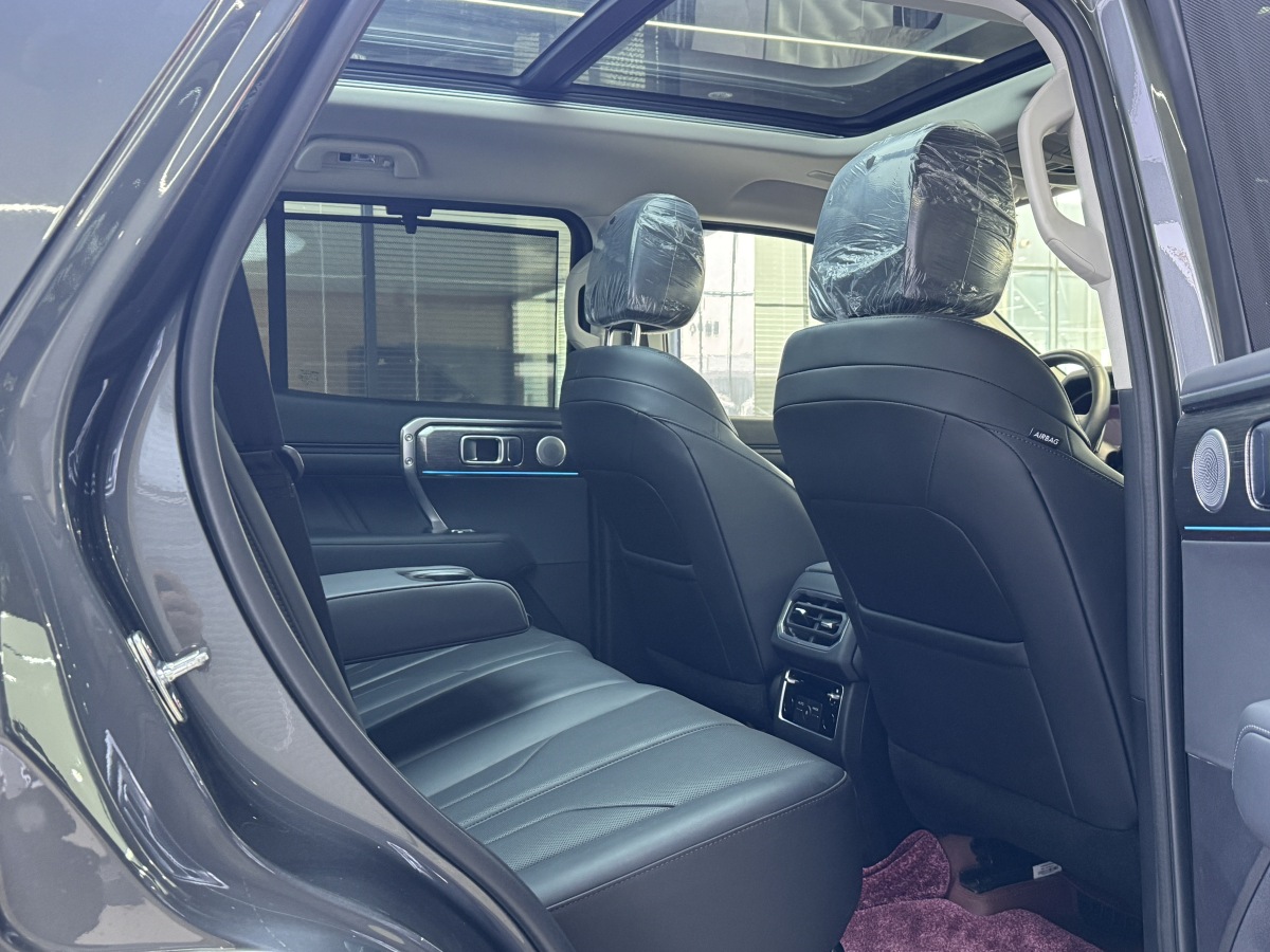 Tank 400 New Energy 2023 car image #10