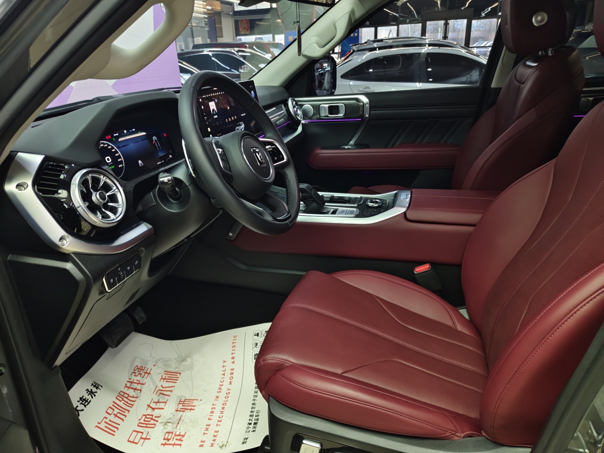 Tank 400 New Energy 2024 car image #10