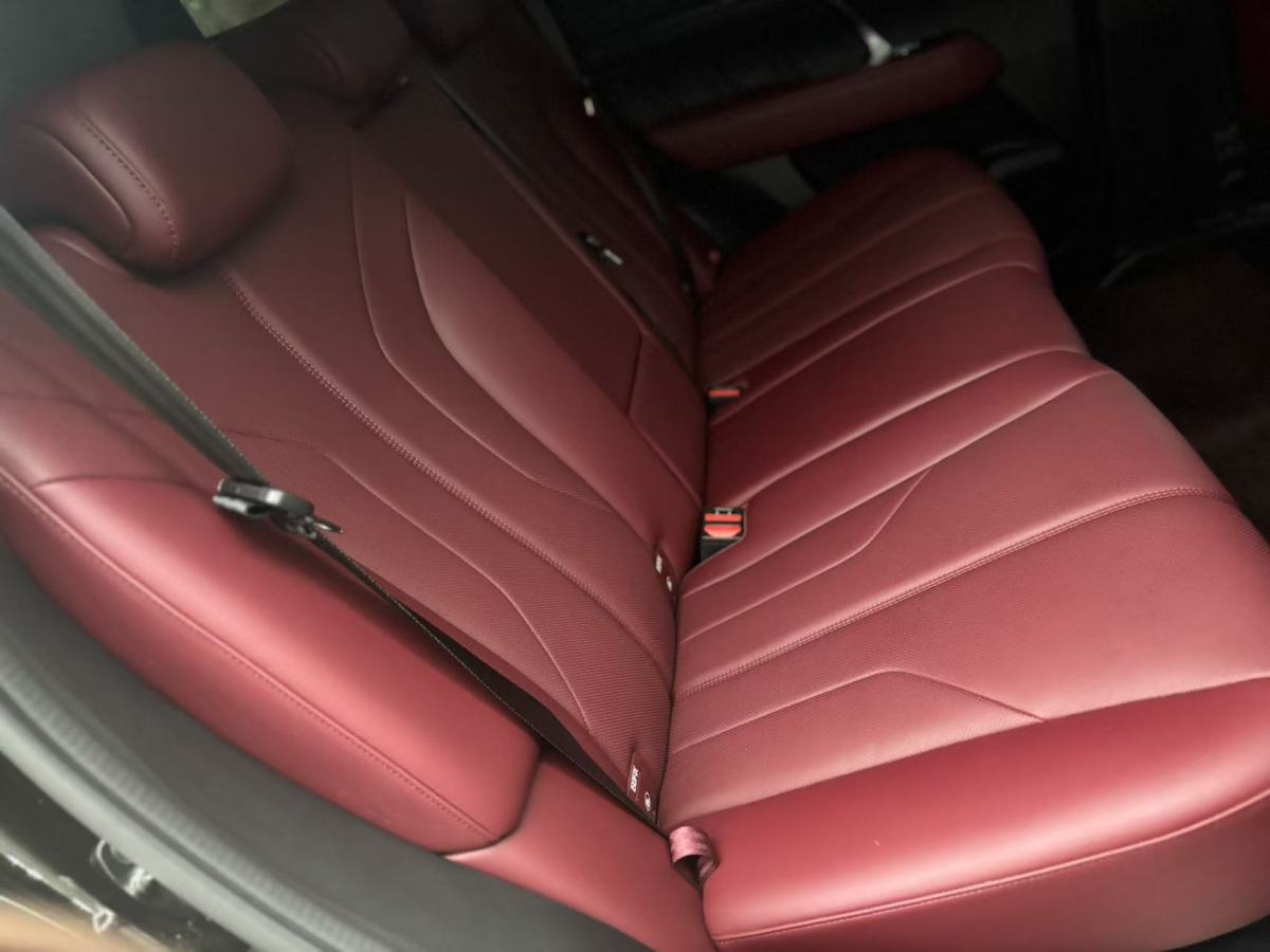 Tank 400 New Energy 2025 car image #10