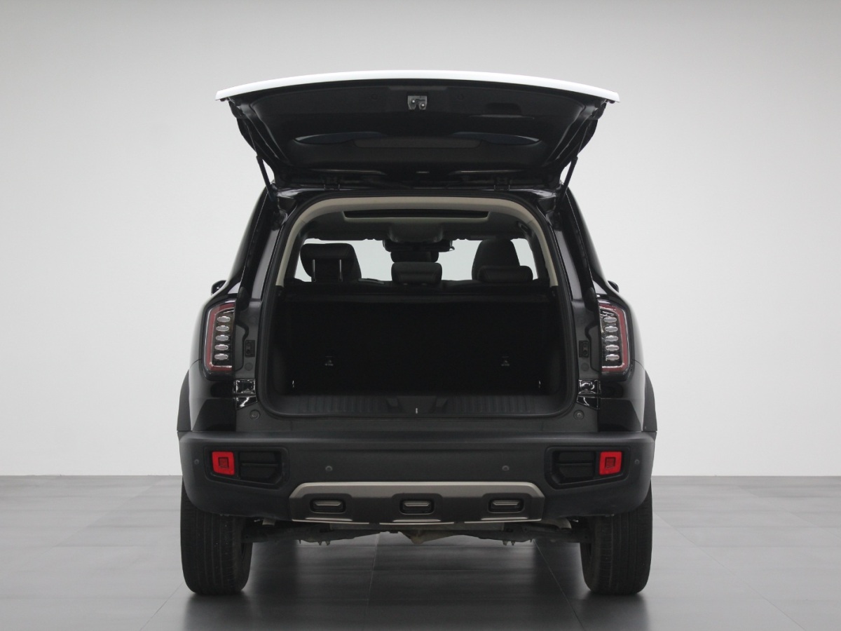 Haval X Dog / Dargo 2022 #10 Haval X Dog / Dargo 2022 car image #10