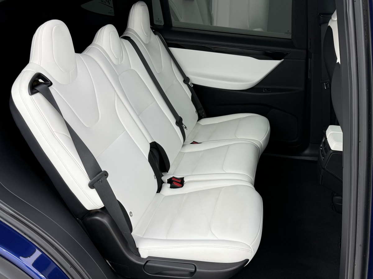 特斯拉 Model X 2019 汽车图片 #10