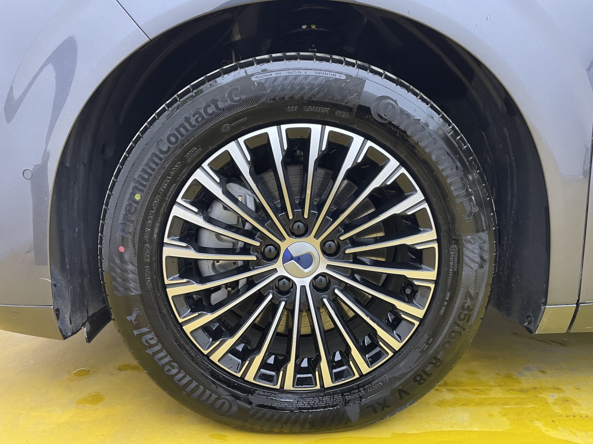 Denza D9 2024 изображение автомобиля #10